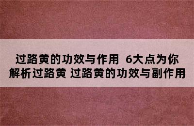 过路黄的功效与作用  6大点为你解析过路黄 过路黄的功效与副作用